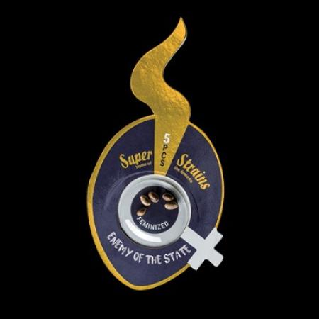 ENEMY OF THE STATES Feminisiert ENEMY OF THE STATES Feminisiert